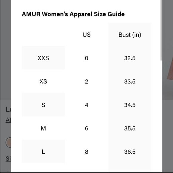 Amur | Chiffon Maxi Dress Pleated Long Flowing Cut Out 6 - Picture 14 of 14